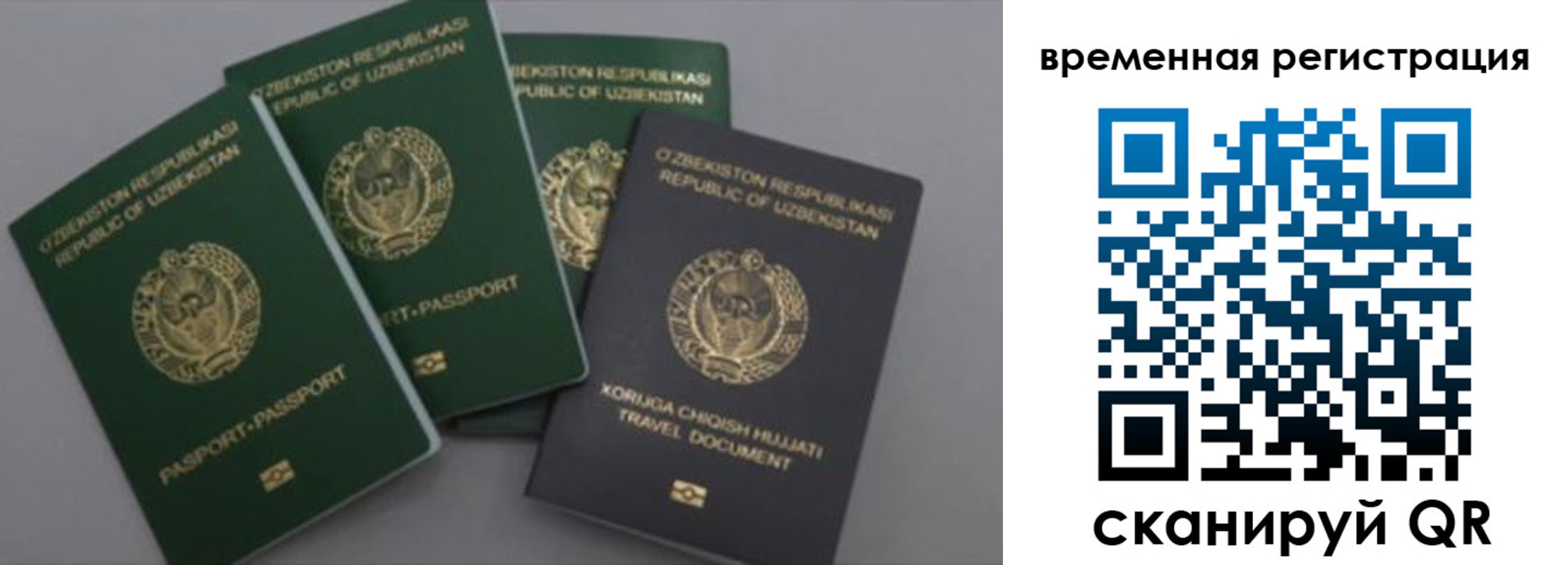 регистрация в Железногорске